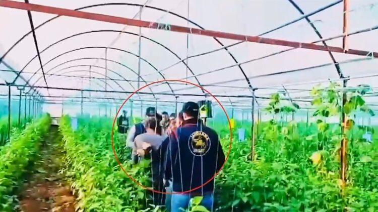 Diyarbakır'da 7 yıl önce işlenen cinayetin hükümlüsü yakalandı