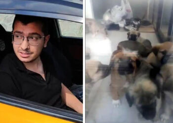 Köpeklere cinsel istismarda bulunup öldüren doktora verilen cezanın gerekçesi açıklandı