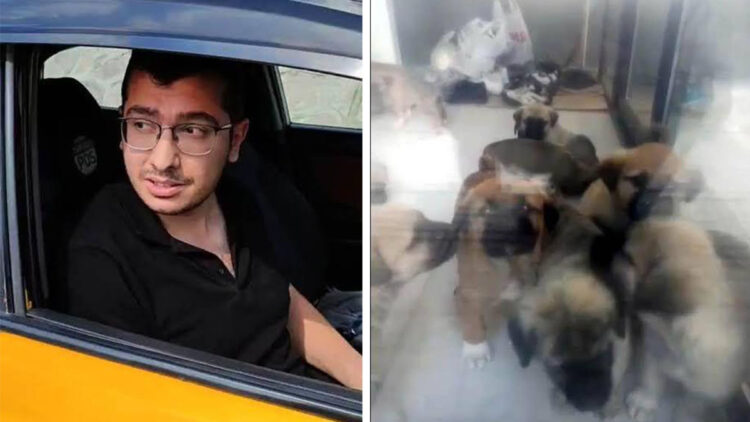 Köpeklere cinsel istismarda bulunup öldüren doktora verilen cezanın gerekçesi açıklandı