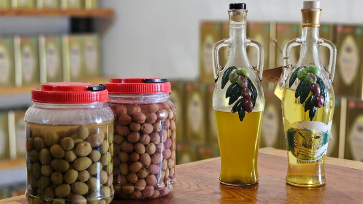 Dünyanın en sağlıklı zeytinyağının litresi 1500 TL