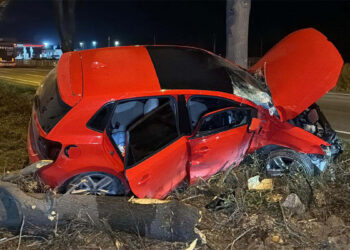 Eskişehir'de ağaca çarpan otomobilin sürücüsü ağır yaralandı