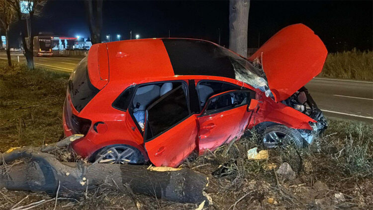 Eskişehir'de ağaca çarpan otomobilin sürücüsü ağır yaralandı