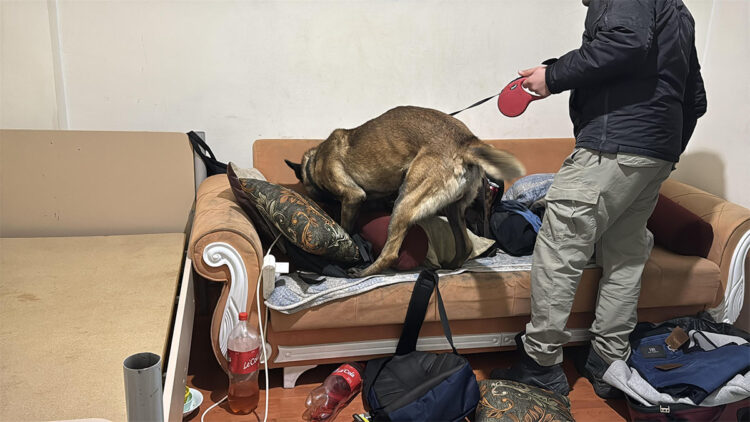 Kütahya'da uyuşturucu baskını; 46 poşet bonzai ele geçirildi