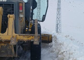 Erzurum ve Kars'ta kar yağışı nedeniyle 66 yerleşim yerinin yolu kapandı
