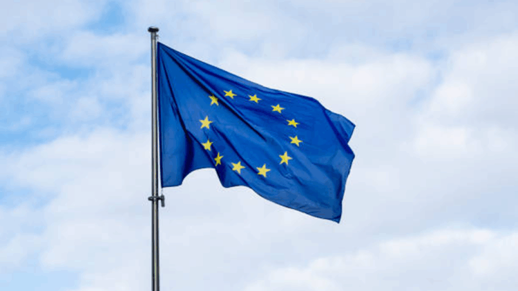 Eski AB Dış Politika Şefi Federica Mogherini, gözaltına alındı