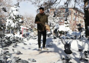 Esnaf, yüzlerce güvercini 20 yıldır kendi imkanlarıyla besliyor