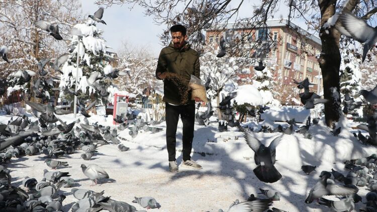 Esnaf, yüzlerce güvercini 20 yıldır kendi imkanlarıyla besliyor