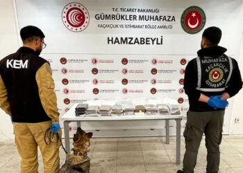 Gümrük kapılarında rekor; 33 ton 198 kilo uyuşturucu ele geçirildi
