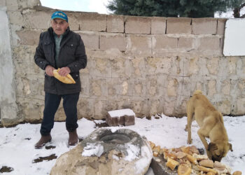 Doğadaki hayvanlara yaz-kış demeden yıllardır su ve yem taşıyor