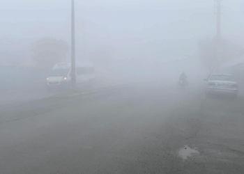 Iğdır'da sis etkili oldu