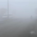 Iğdır'da sis etkili oldu