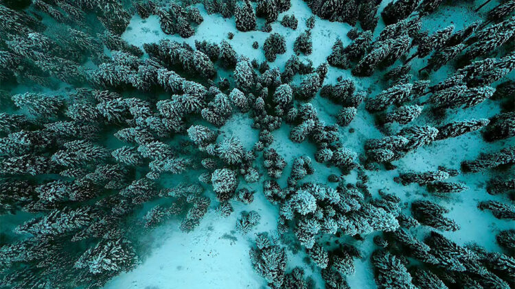 Karabük'ün yüksek kesimlerinde kar güzelliği