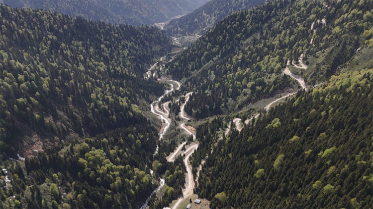 Yağış rejimindeki ani değişkenlikler biyoçeşitliliği olumsuz etkiliyor