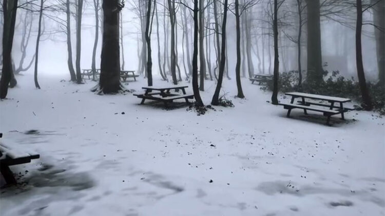 Kartepe etkili olan kar yağışıyla beyaza büründü