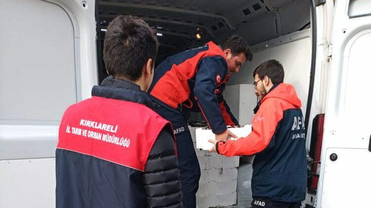 Kırklareli'de el konulan 3 ton istavrit ihtiyaç sahiplerine dağıtılacak