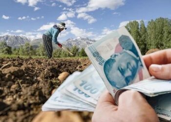 Kooperatiflere 4,5 milyar TL'lik kredi desteği