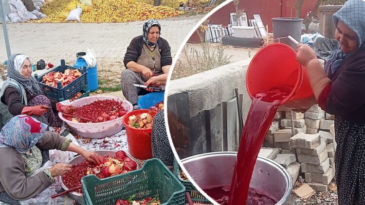 Mersin'de el yapımı nar ekşisi mesaisi