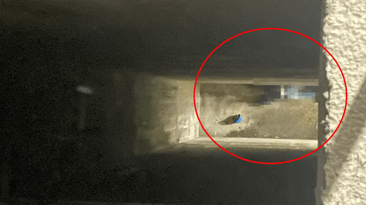 Mardin'de yüksekten düşen işçi öldü