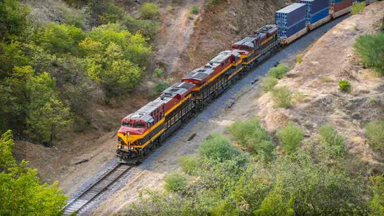 Meksika'da tren kazası 13 ölü, 98 yaralı