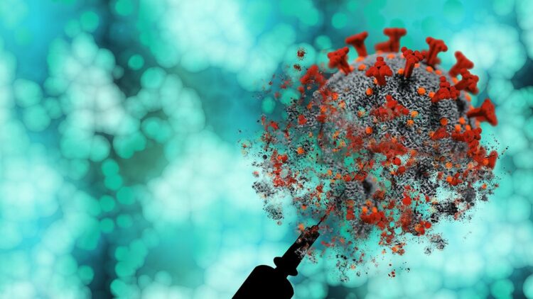 Mpox virüsünün yeni bir varyantı tespit edildi