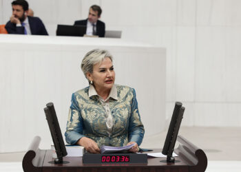 Nimet Özdemir, Türk Denizci Ali Yol hakkında soru önergesi verdi