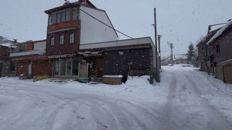 Ordu'nun yüksek kesimlerinde kar yağışı