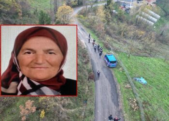 Ormana gidip geri dönmeyen kadını arama çalışmalarında 2'nci gün