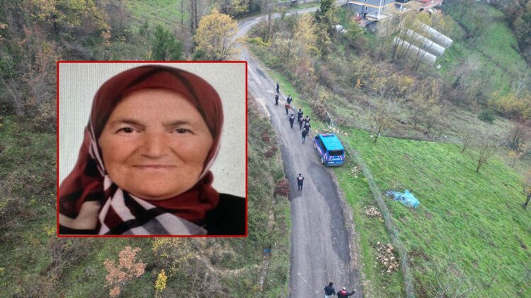 Ormana gidip geri dönmeyen kadını arama çalışmalarında 2'nci gün