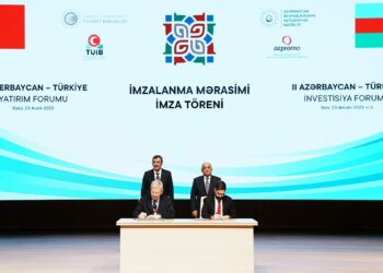 SOCAR Türkiye, Doğal Gaz Kombine Çevrim Santrali’ni satın aldı