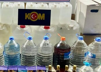 Sahte içki zehirlenmelerinde ölüm oranının azaltılması erken tedaviyle ilintili