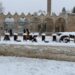 Şanlıurfa'ya mevsimin ilk karı düştü; okullar tatil edildi