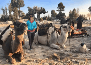 Sarıkeçili Yörüklerin develi 'kış yurdu' yolculuğu sürüyor