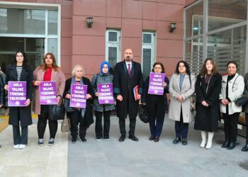 Savcı, Elvan'ı bıçakla yaralayan eşi için 'cinsel saldırıdan' da ceza istedi