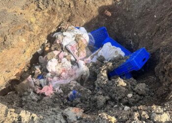 Sultangazi'de 300 kilogram kırmızı ve beyaz et imha edildi