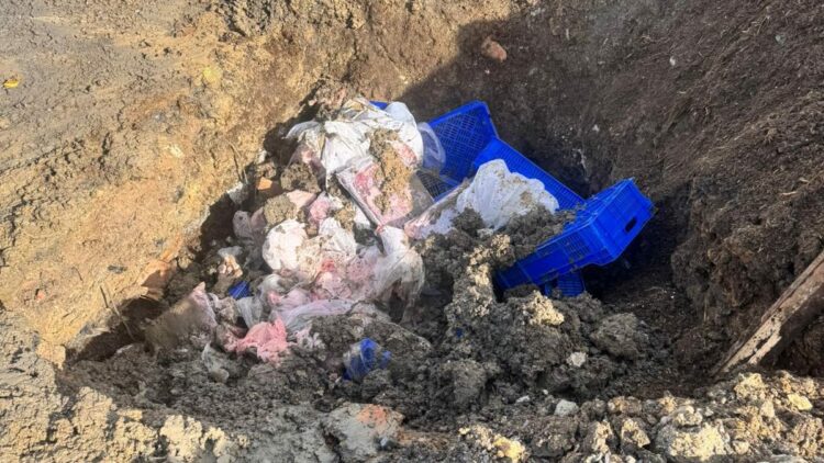 Sultangazi'de 300 kilogram kırmızı ve beyaz et imha edildi