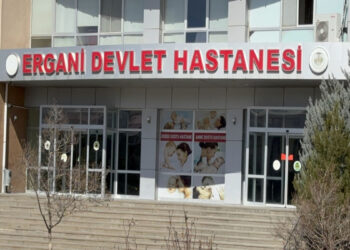 Tartıştığı kayınpederi ve kayınbiraderini öldürdü