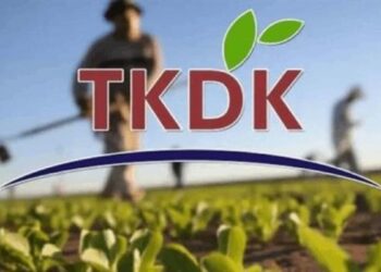 Tarım ve Kırsal Kalkınmayı Destekleme Kurumu, 42 uzman alacak