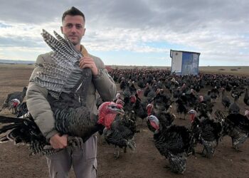 Tekirdağ'da yılbaşı öncesi hindi satışları arttı; dişi hindiye ilgi daha fazla