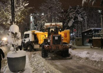 Van'da 341 yerleşim yeri kardan kapandı; okullar da tatil