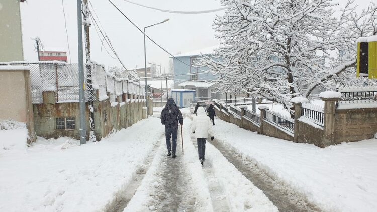 Van'ın 2 ilçesinde 11 yerleşim yeri kar nedeniyle ulaşıma kapandı