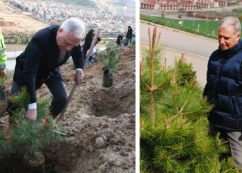 Başkent Üniversitesi’nden 2025 UI GreenMetric sıralamasında büyük başarı