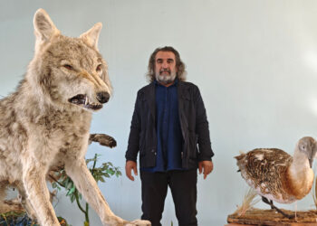 Yaban hayvanlarına yaklaşmanın biyogüvenlik riskleri var