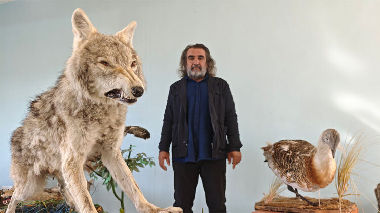 Yaban hayvanlarına yaklaşmanın biyogüvenlik riskleri var