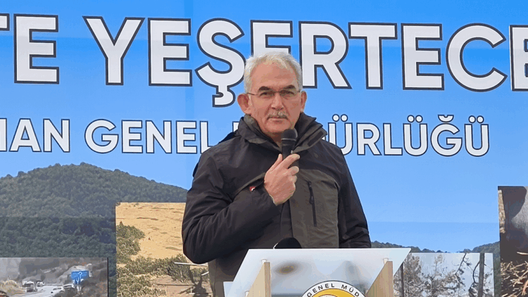 Yanan orman alanlarını başka amaçla kullanmak mümkün değil