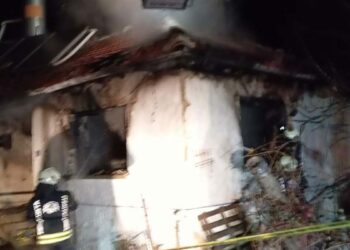Yangında annesini kurtarmak isterken öldü