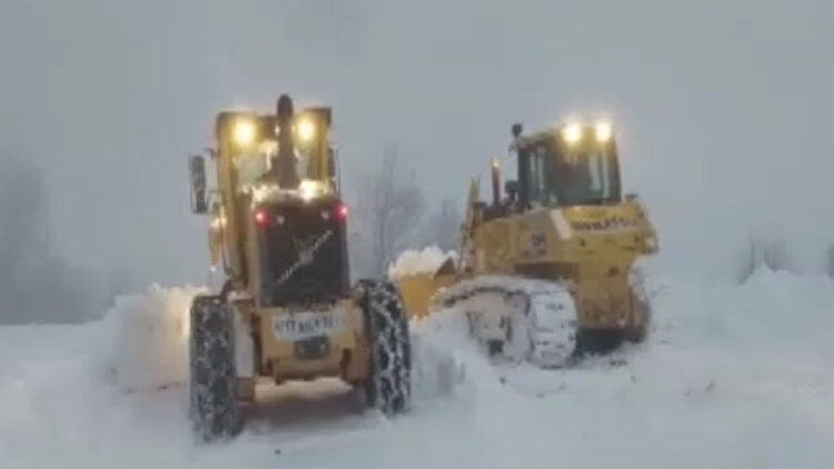 Artvin'de çığ; 3 çoban çığ altında kaldı