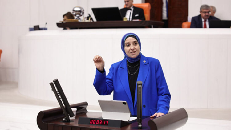 İlgili üç bakanlık MESEM rezaletini çözmeli