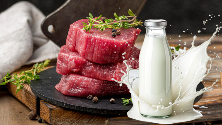 Et ve süt üreticilerinden süt arzındaki azalma hakkında açıklama