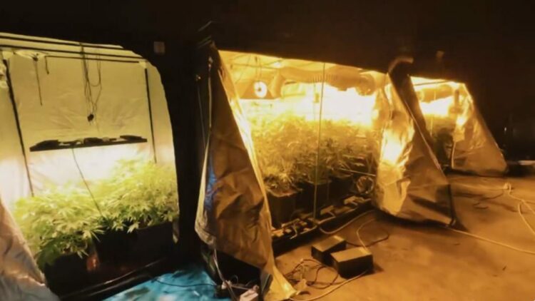 23 ilde uyuşturucu operasyonu: 177 tutuklama