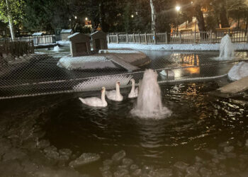 Kuğulu Park'taki havuz buz tuttu
